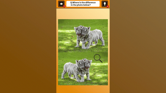 Train Your Brain! Spot the Difference with Animal Kids Photos Screenshot