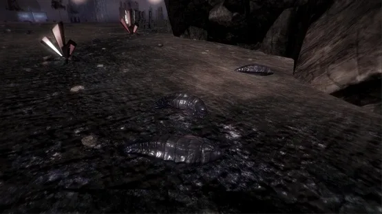Thumbnail 12