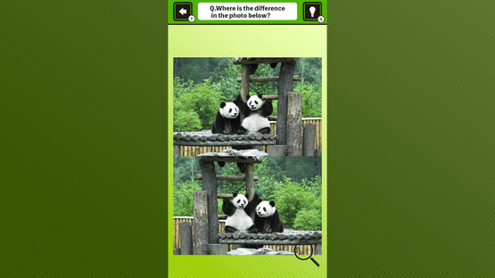 Super Kawaii! Finding Mistakes in Panda Photos Screenshot