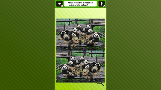 Super Kawaii! Finding Mistakes in Panda Photos Screenshot