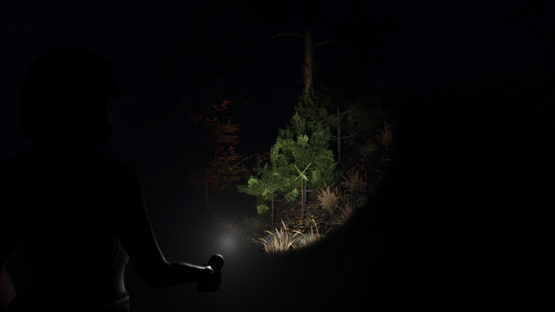Light: Die to Survive Screenshot
