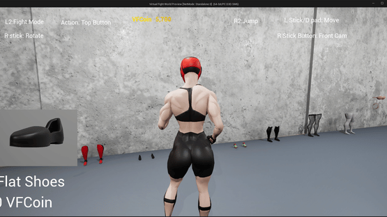 Virtual Fight World Screenshot