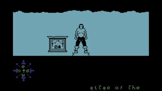 Tir Na Nog screenshot 3