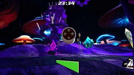 Thumbnail 10