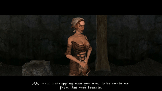 The Bard's Tale: Remastered and Resnarkled Screenshot