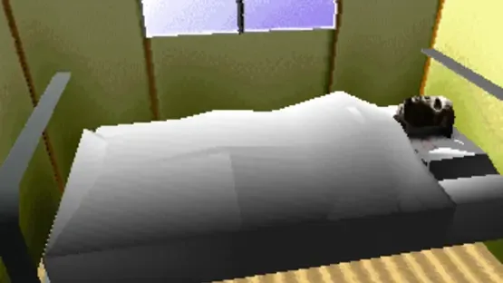Thumbnail 21