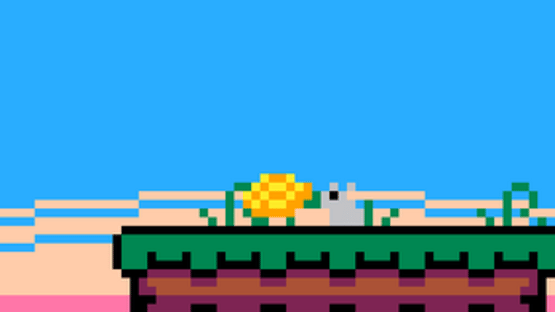 Terry The Turtle's Big Adventure Screenshot