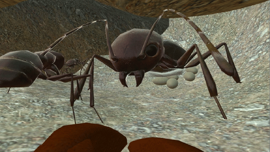 Ant Simulator 3D Screenshot