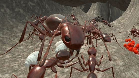 Ant Simulator 3D Screenshot
