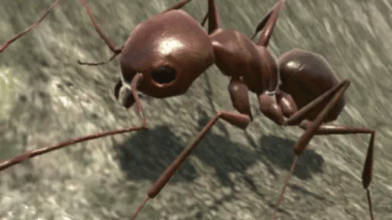 Ant Simulator 3D Screenshot
