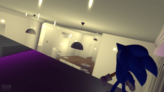 Stealth The Hedgehog Screenshot