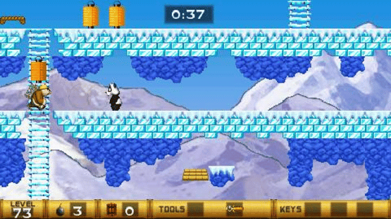 Panda Craze Screenshot