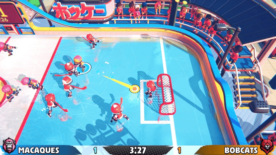 Casual Sport Series: Hockey Screenshot