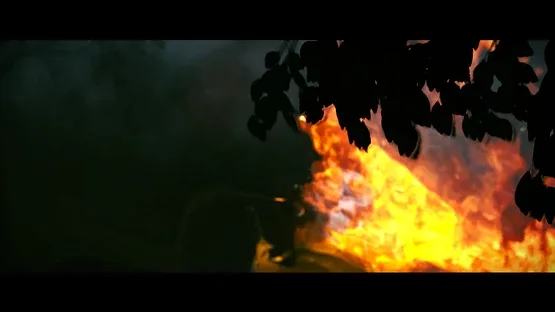 Thumbnail 15