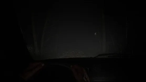 Entwine screenshot 6