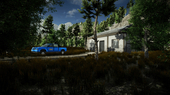 The Secrets of the Forest Screenshot