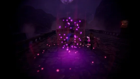 Thumbnail 13