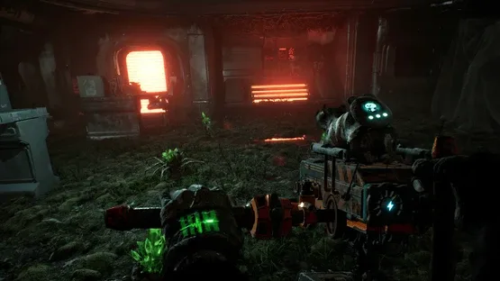 Animal Use Protocol screenshot 5