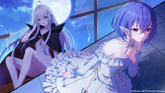 Thumbnail 11