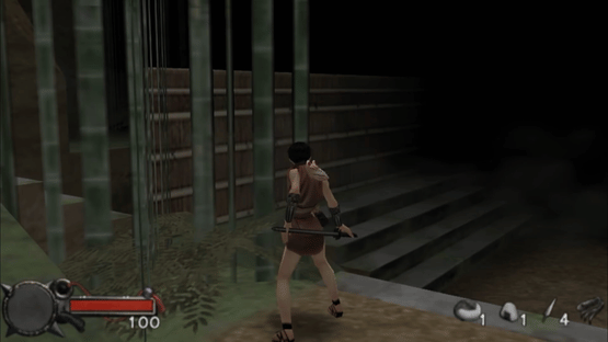 Tenchu: Time Of The Assassins Screenshot