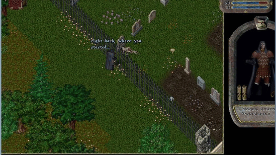 Ultima Online: Renaissance Screenshot