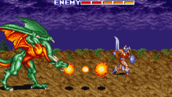 The King of Dragons Screenshot