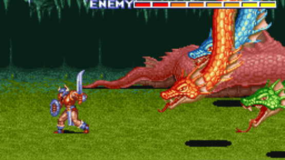 The King of Dragons Screenshot