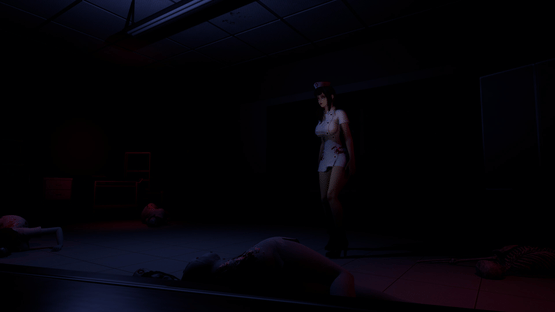 Ruined Nurse Screenshot