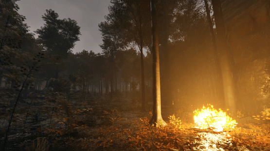 Prologue: Go Wayback! Screenshot