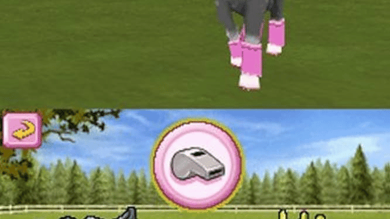 Petz Pony Beauty Pageant Screenshot