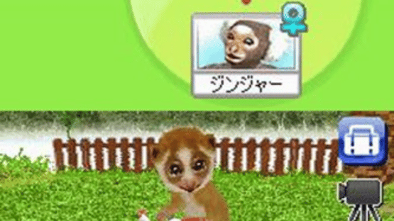 Petz My Monkey Family Screenshot