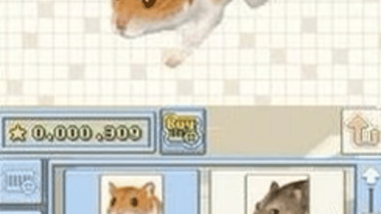 Petz: Hamsterz 2 Screenshot