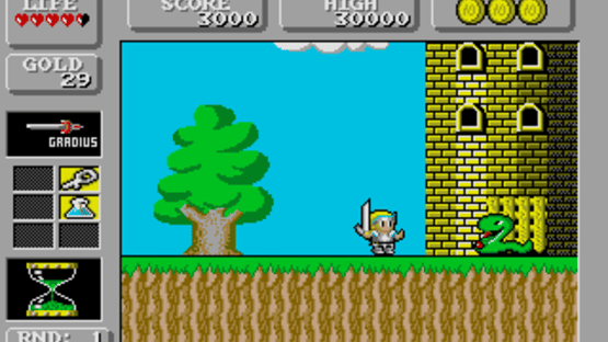 Super Wonder Boy in Monster Land Screenshot