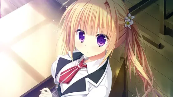 Thumbnail 11