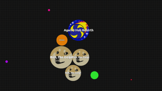 AgarIO Hub Rebirth Screenshot