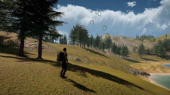 Sky Diving: Parachute Flight Simulator screenshot