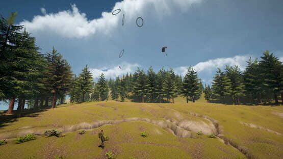 Sky Diving: Parachute Flight Simulator screenshot