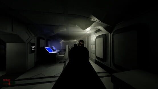 The SS Destiny Disaster screenshot