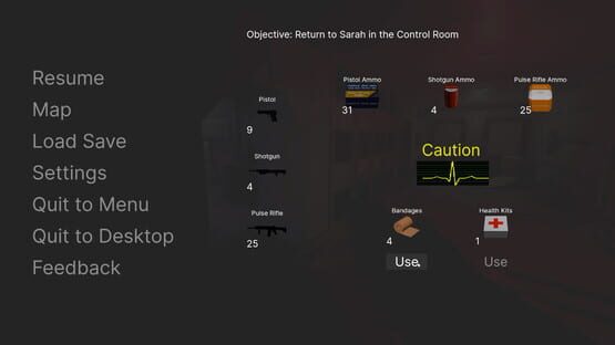 The SS Destiny Disaster screenshot 1