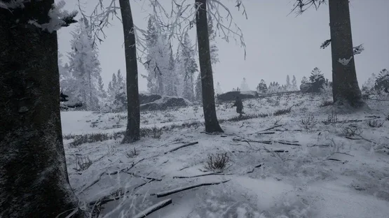Exfil screenshot 5