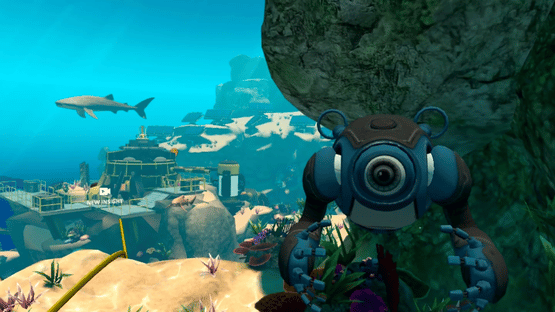 Beyond Blue: After the Storm Screenshot