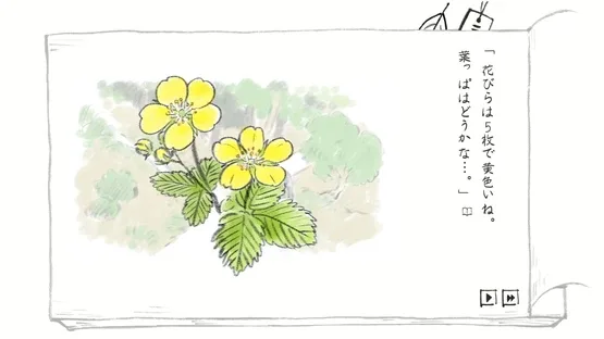 Satoyama Note: Spring Walk screenshot 5