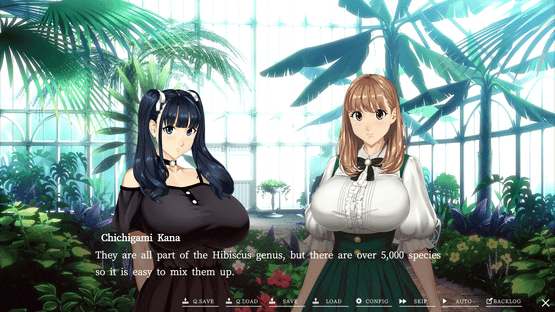 Welcome to Maison Chichigami Screenshot