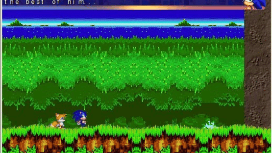 Sonic's Vacation Screenshot