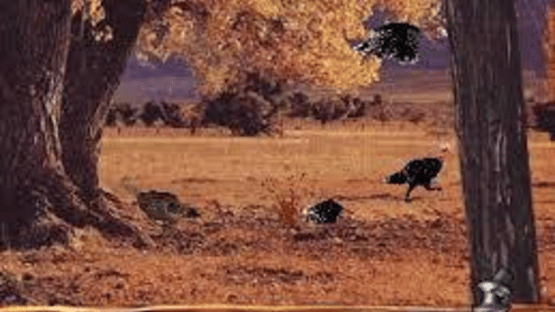 Turkey Hunting USA Screenshot
