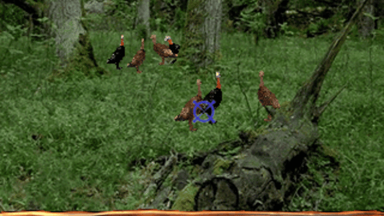 Turkey Hunting USA Screenshot