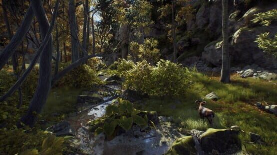 Way of the Hunter: Ultimate Edition screenshot 1
