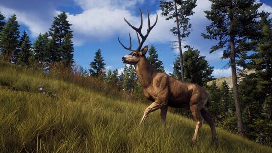 Way of the Hunter: Ultimate Edition screenshot 5