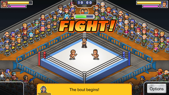 Pro Wrestler Story Screenshot