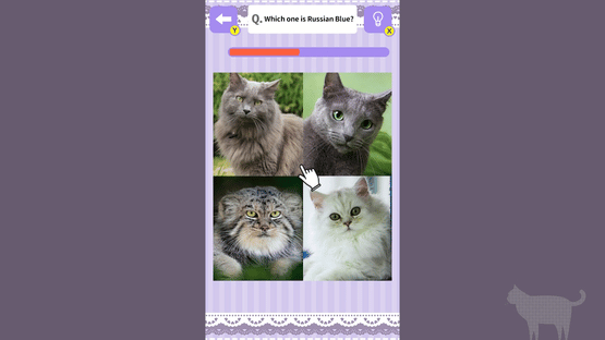 Cat Spotting Challenge! Screenshot